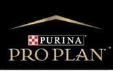 Pro Plan