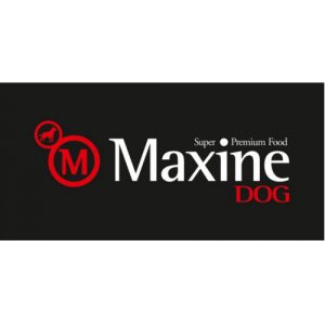 maxine adulto