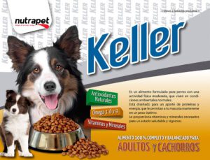 keller adulto perro