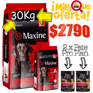 maxine adulto