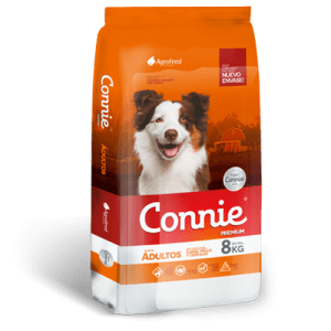 connie adulto