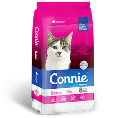 Connie Gato Adulto