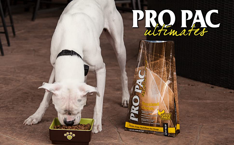 Deliciosa Comida para perros Importada en Oferta 1 e93ab6c5 a68e 4d6e 90c9 53ce6966a605. CR0020001237 PT0 SX970 V1
