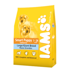 Iams Cachorro para Perro