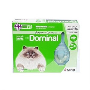 Dominal gato grande