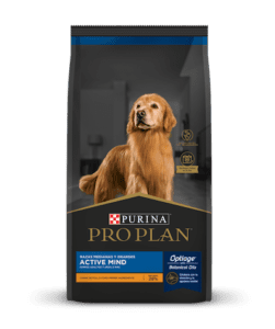 pro plan active mind