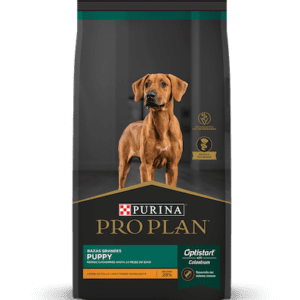 pro plan puppy large