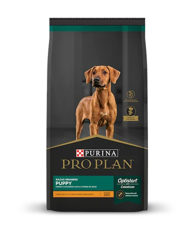 pro plan puppy large