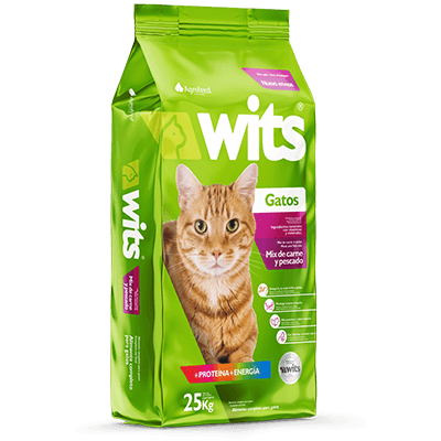 Wits Gatos Adultos