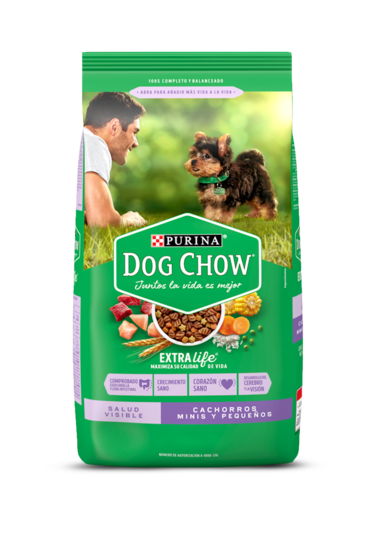 Purina Dog Chow Cachorro Raza Pequeña 21 Kg