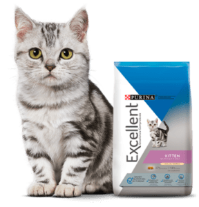 Comida para Gatos Purina excellent gatitos