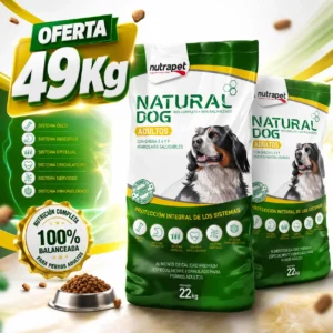 natural dog adulto