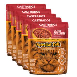 salsa special cat