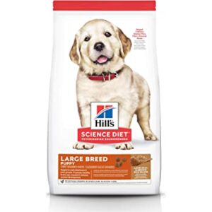 hill's cachorro
