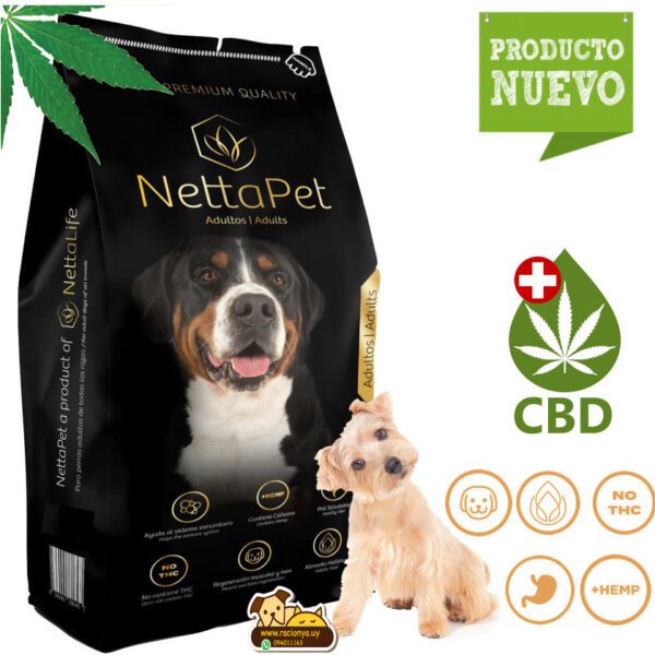 nettapet promoción