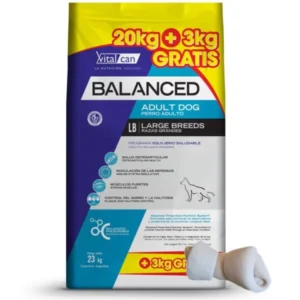 balanced adulto large