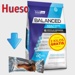 Balanced Perro Adulto raza Mediana