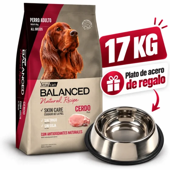 balanced cerdo y arroz