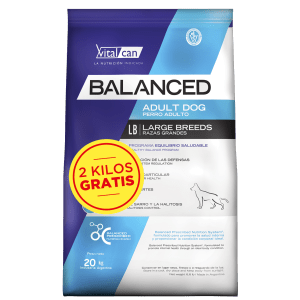 balanced perro adulto