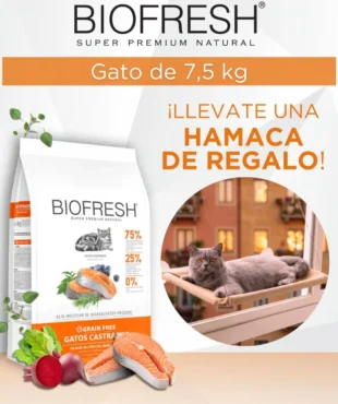 biofresh gato castrado salmon