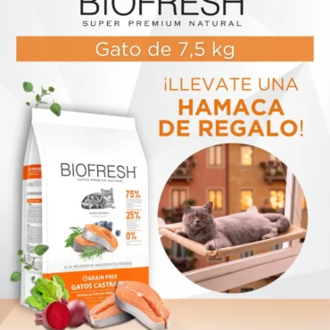 biofresh gato castrado salmon