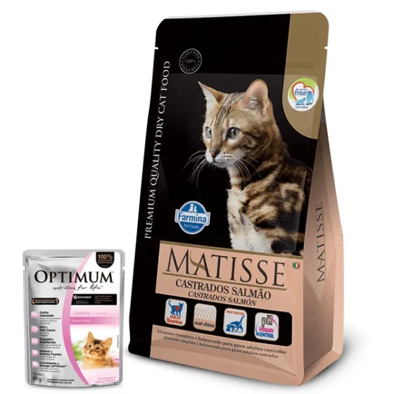 Matisse Castrados Salmón