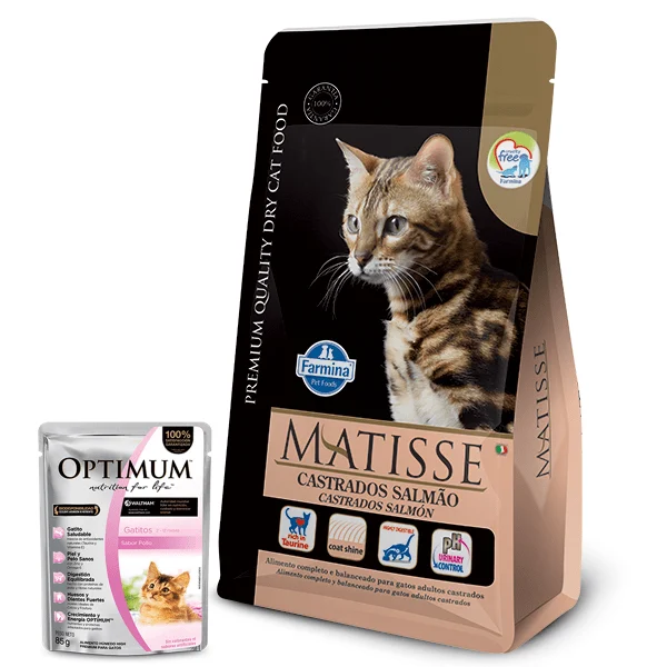 Matisse Castrados Salmón