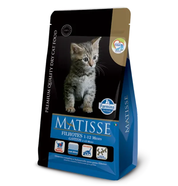 matisse filhotes