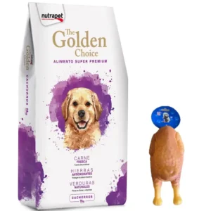 the golden choice cachorro