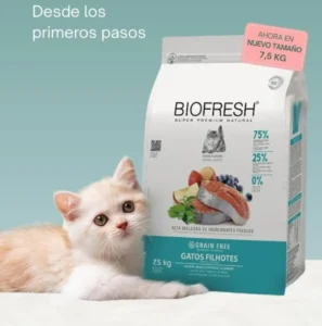 biofresh gato bebe