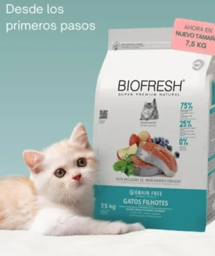 biofresh gato bebe
