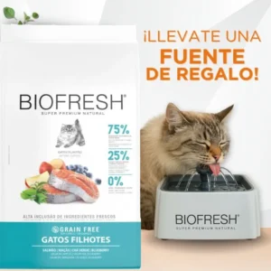 biofresh gato bebe