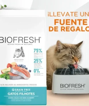 Biofresh 14 biofresh gato bebe