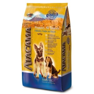 atacama cachorro