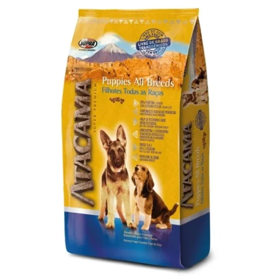 atacama cachorro