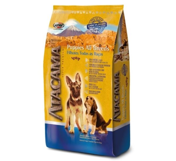 atacama cachorro