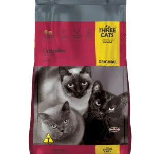 three cats gato castrado