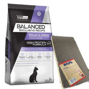 balanced gato