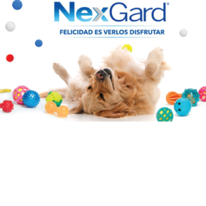Nexgard pastilla