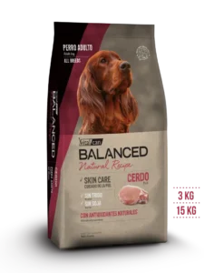 balanced cerdo y arroz