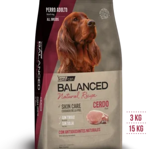 balanced cerdo y arroz