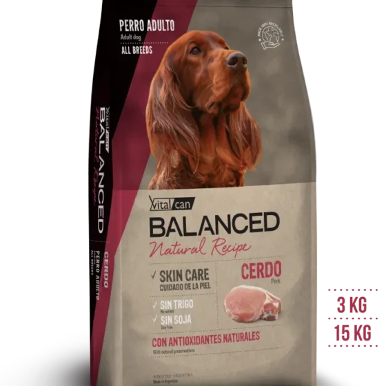 balanced cerdo y arroz