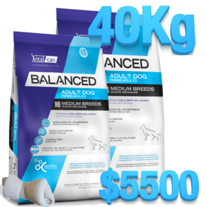 balanced perro adulto