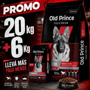 ols princesa equilibrium