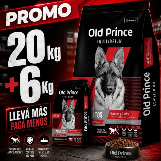 ols princesa equilibrium