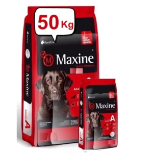 maxine perro adulto
