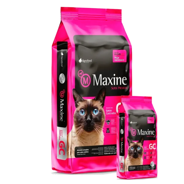 maxine gato castrado