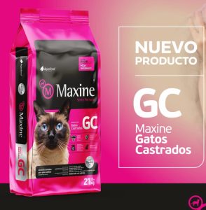 maxine gato castrado
