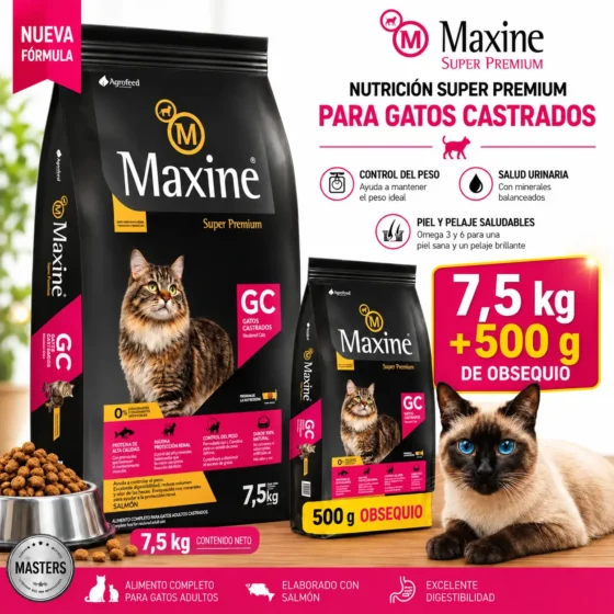 Maxine Gato castrado