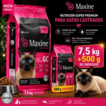 maxine gato castrado